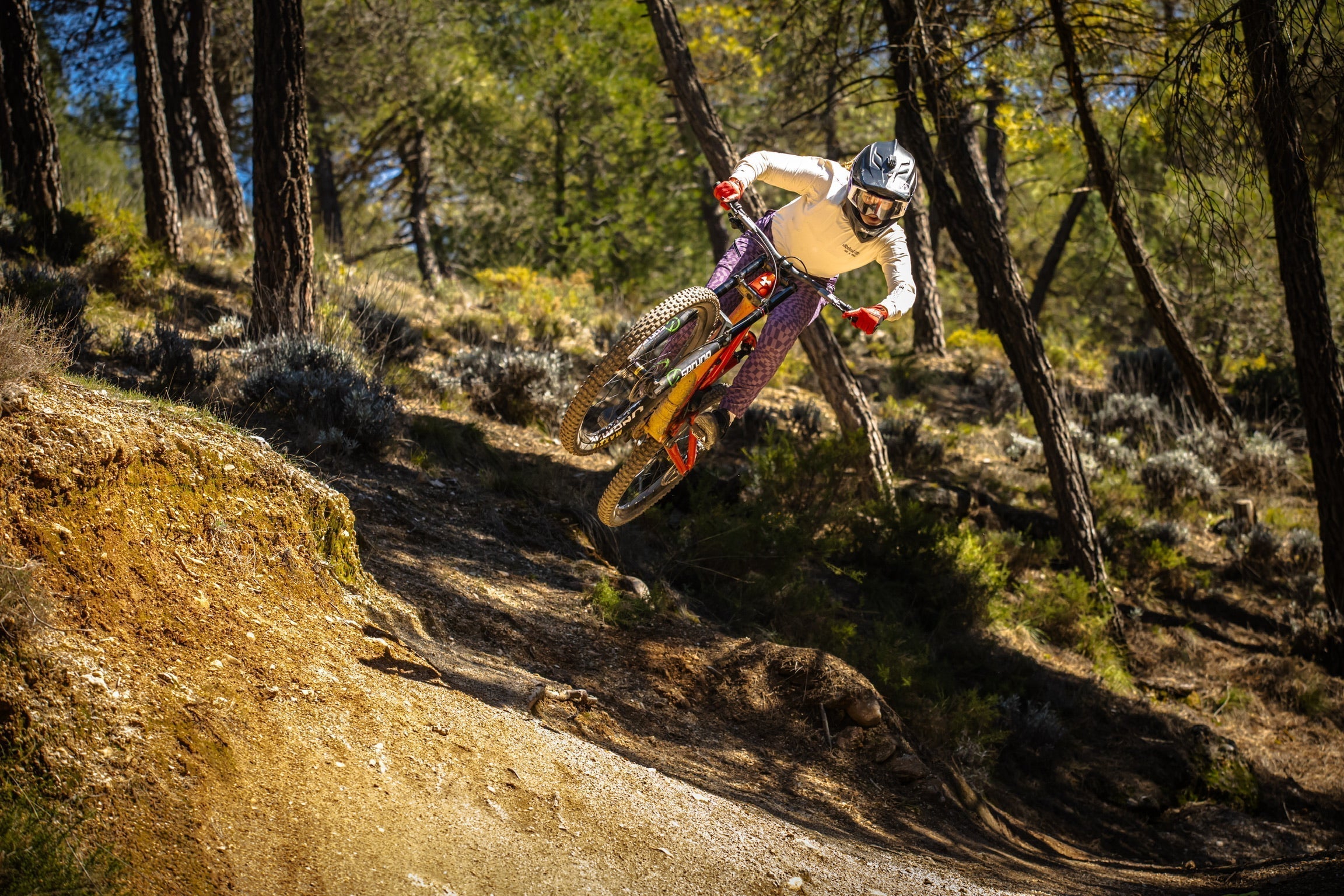 Getting to Know PEMBREE rider Liv Taylor