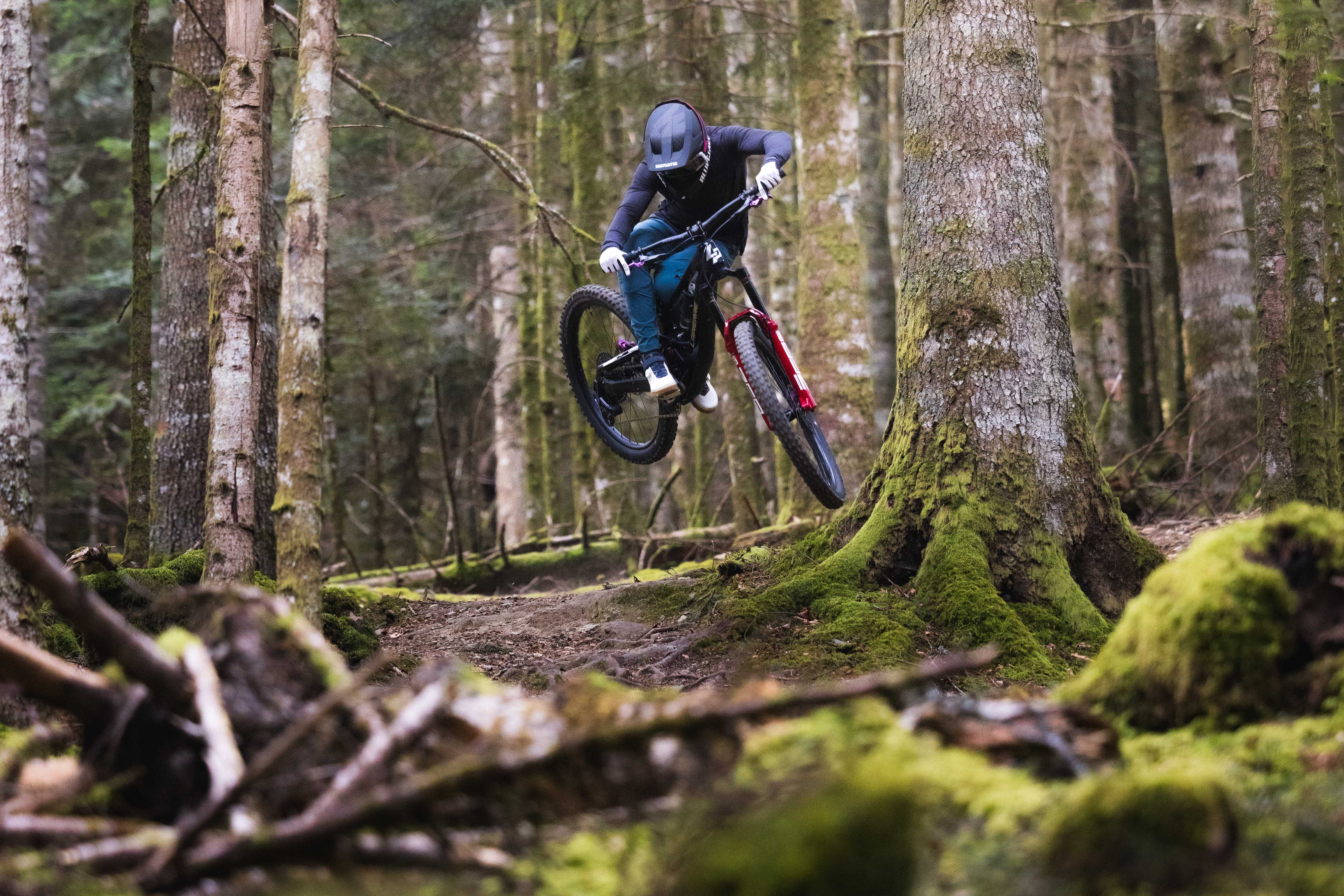 Guillaume Larbeyou joins PEMBREE