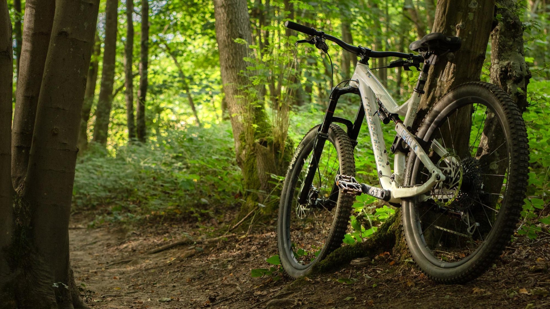 Pionnier de la production écoresponsable dans l’industrie du VTT